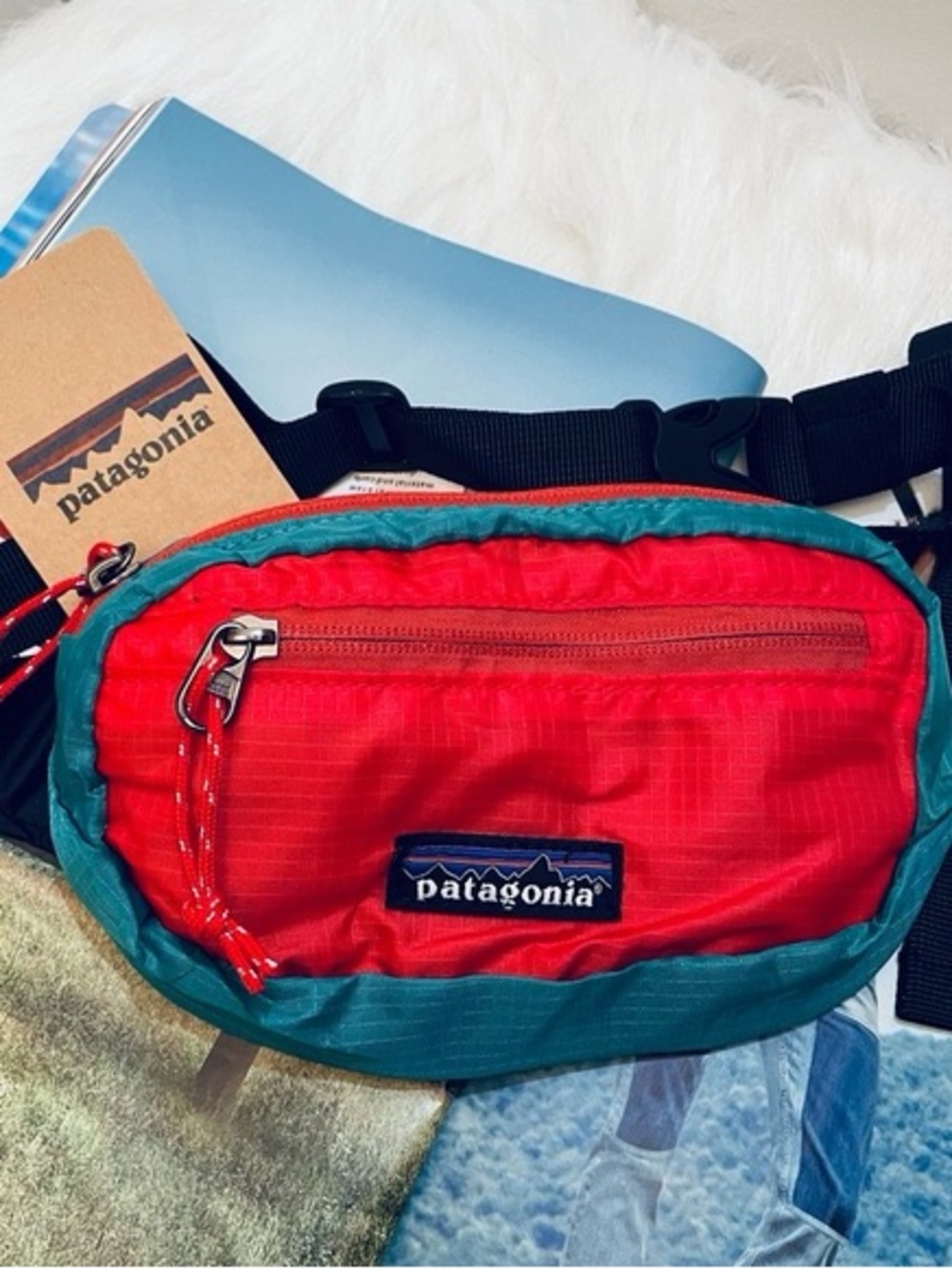 Patagonia Mini Hip Belt Bag